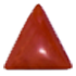 Triangular Shape Coral